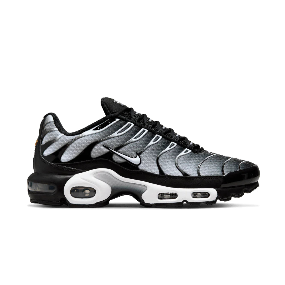 Air Max TN Plus Grey